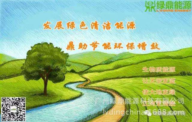 电子科技如何支持生物质能在绿色能源解决方案中的应用