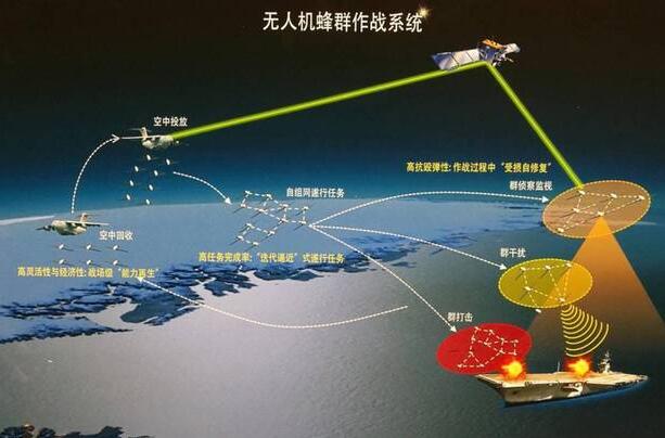 金年会官网：无人机技术如何影响了野生动物保护