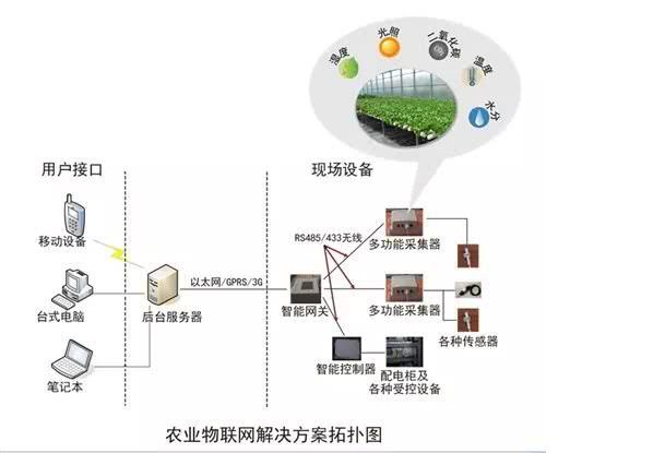 【金年会app】智能传感器如何在农业生产中应用